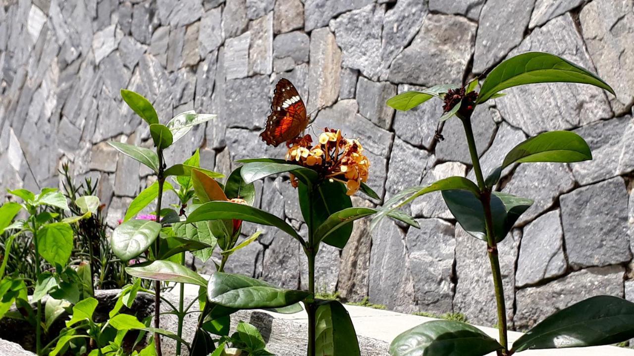 Morada Recanto das Flores Miguel Pereira Exterior foto